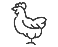 reduced antibiotic chicken